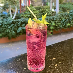 Dragon Fruit & Mango